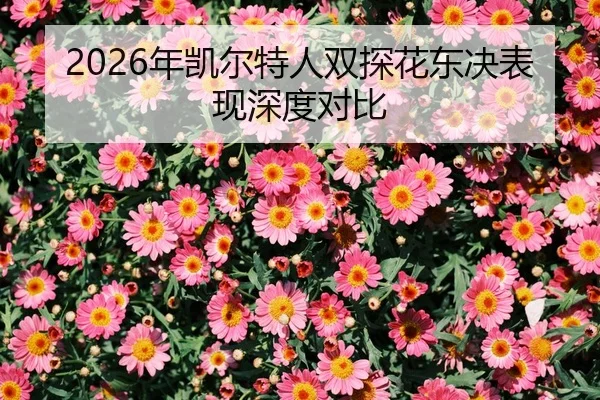 nian-kai-er-te-ren-shuang-tan-hua-dong-jue-biao-xian-shen-du-dui-bi-3-314.jpg