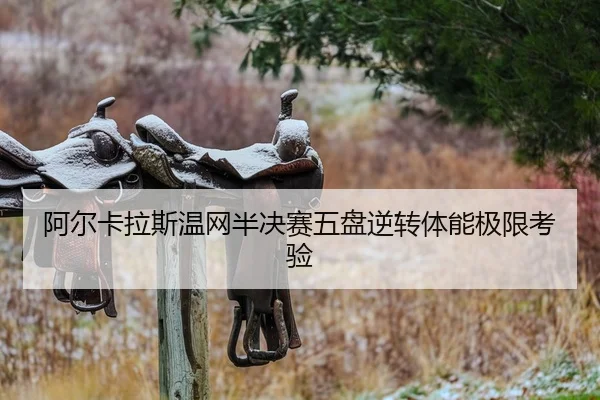 a-er-ka-la-si-wen-wang-ban-jue-sai-wu-pan-ni-zhuan-ti-neng-ji-xian-kao-yan-2-171.jpg